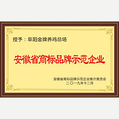 安徽省商標(biāo)品牌示范企業(yè)