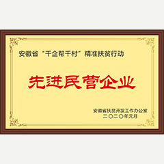 先進(jìn)民營(yíng)企業(yè)