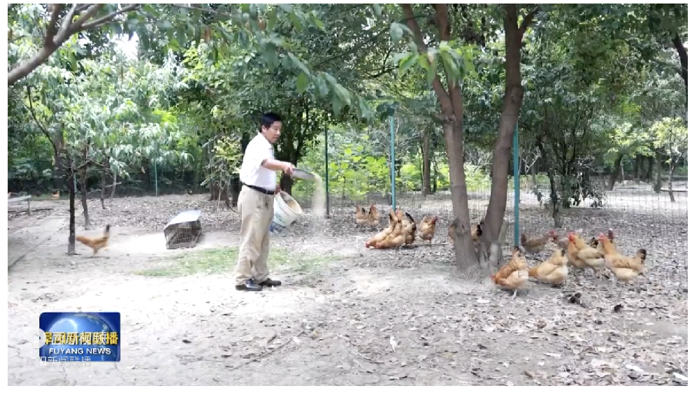 村企共建 興產(chǎn)業(yè)富百姓