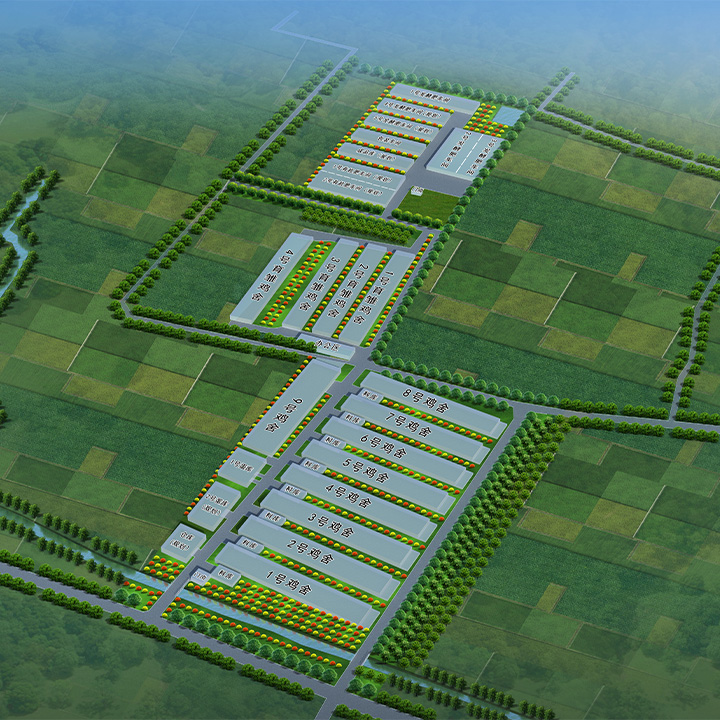 高樓養(yǎng)雞場