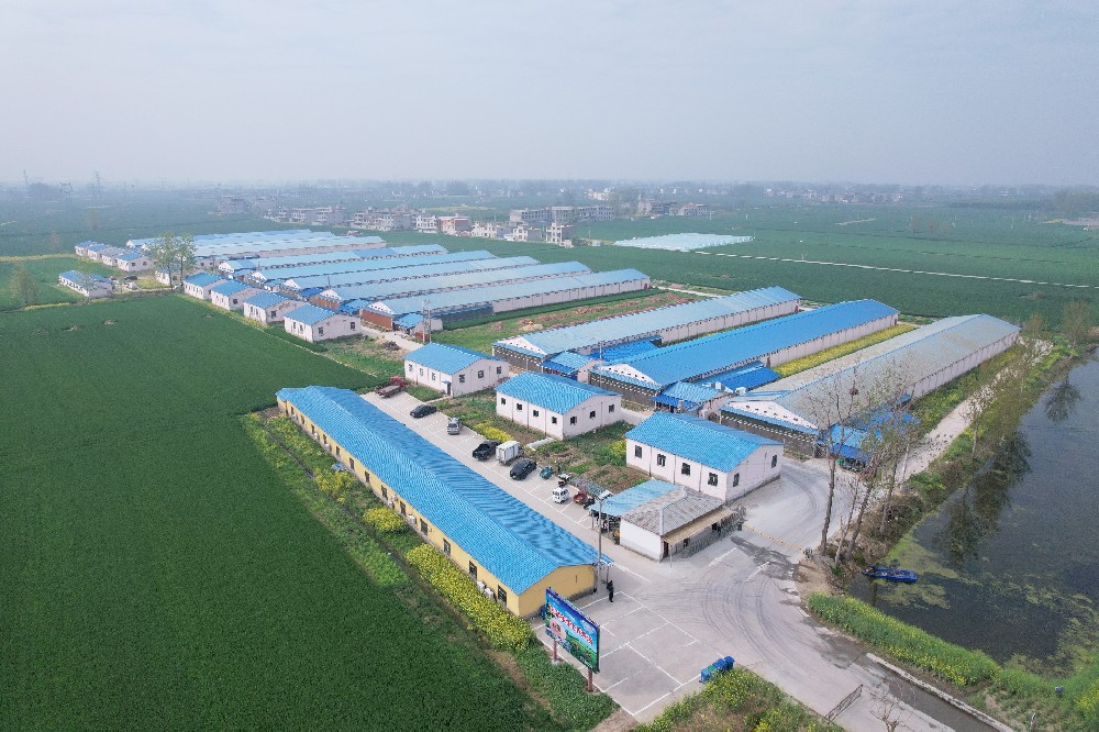 誠(chéng)招全國(guó)各地代理商