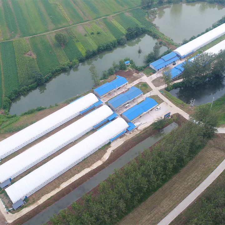 李門樓標(biāo)準(zhǔn)化養(yǎng)雞場(chǎng)